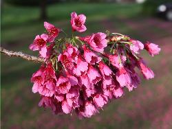 Image: Trevor James © Trevor James 